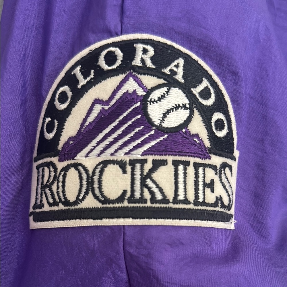 Purple and Black Hooded Jacket - Picture 4 of 4